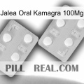 Oral Jelly Kamagra 100Mg 25